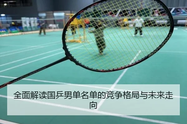全面解读国乒男单名单的竞争格局与未来走向